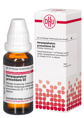 HARPAGOPHYTUM PROCUMBENS D 2 Dilution