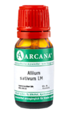 ALLIUM SATIVUM LM 13 Dilution